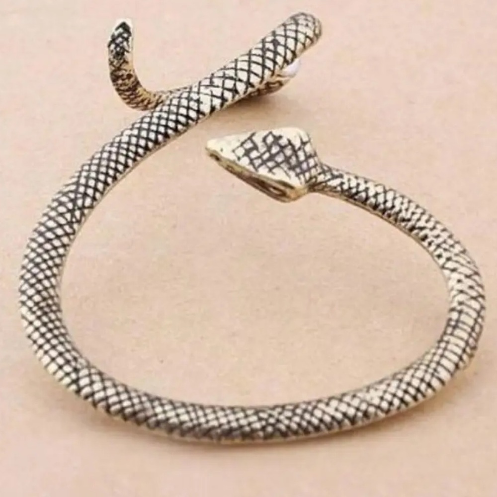 Elegant Silver Snake Earring